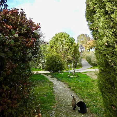 Villa La Casa Gialla *